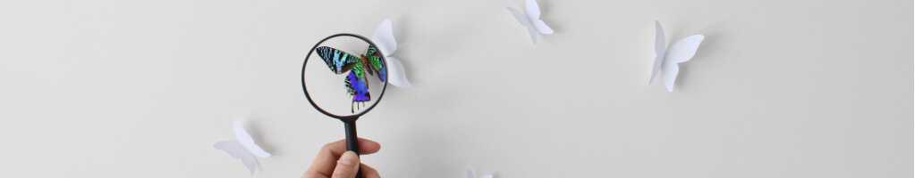 Magnifying glass with butterfly